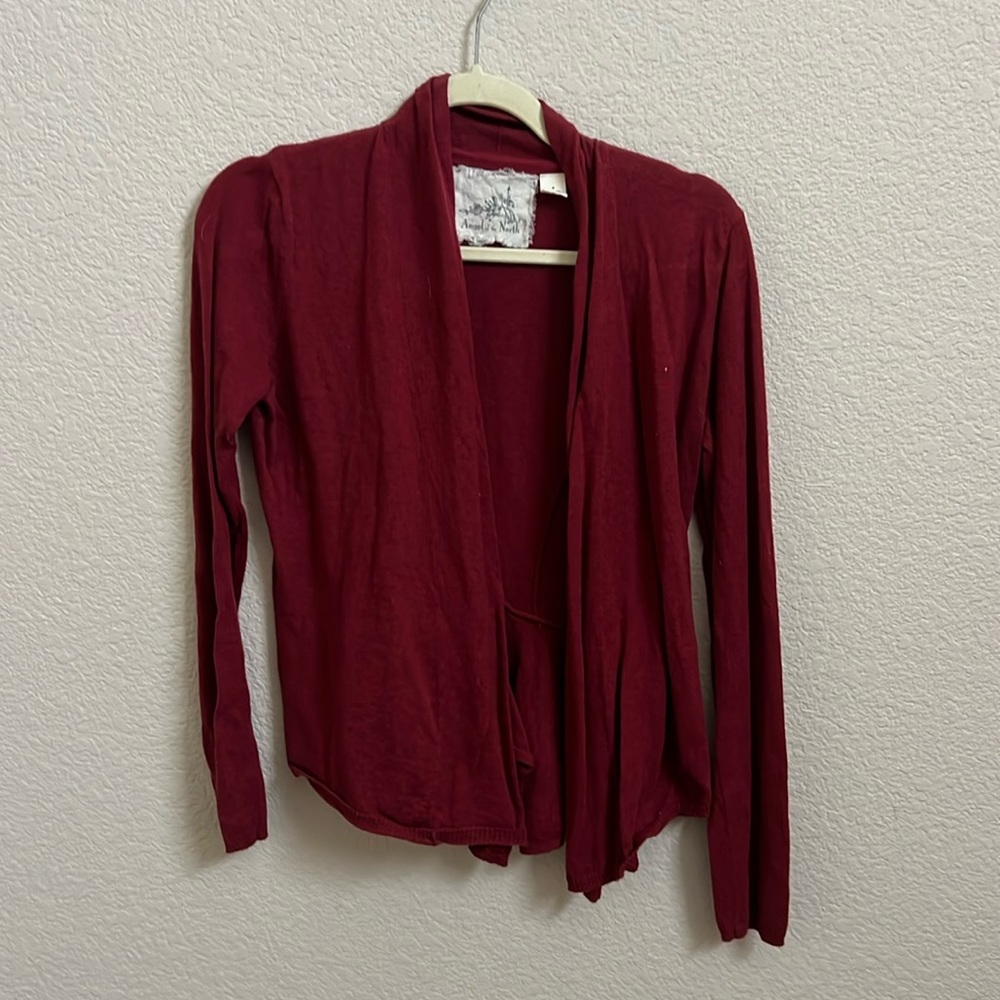 Angel of the North burgundy cardigan